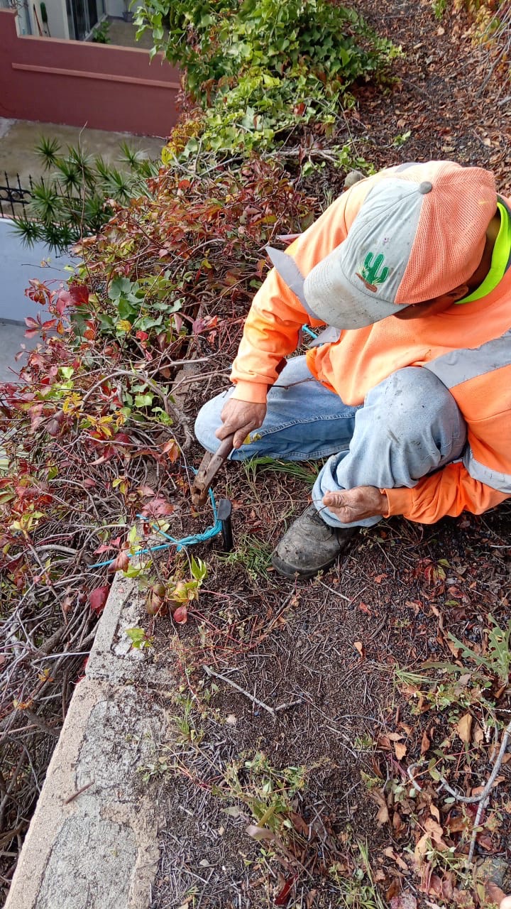 Trabajo de mantenimiento en jardín